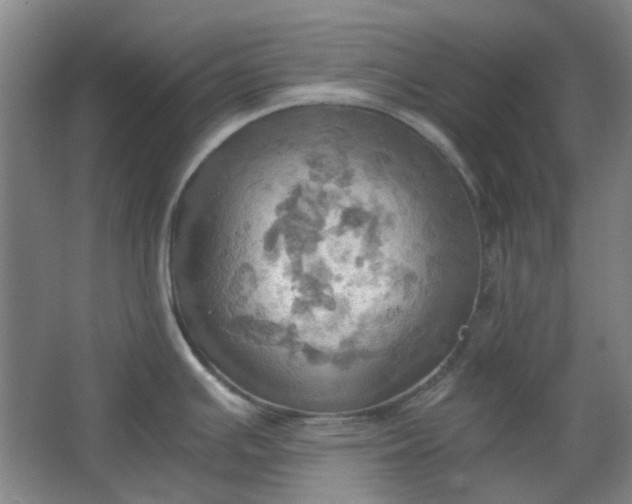 X0000064041391200602101413