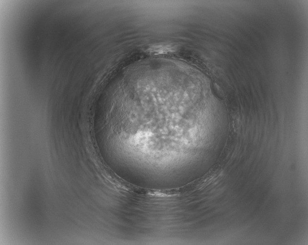 X0000064041393200602101412