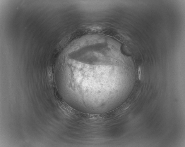 X0000064041395200602101412