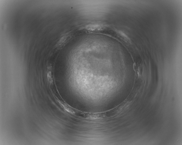 X0000064041396200602101412