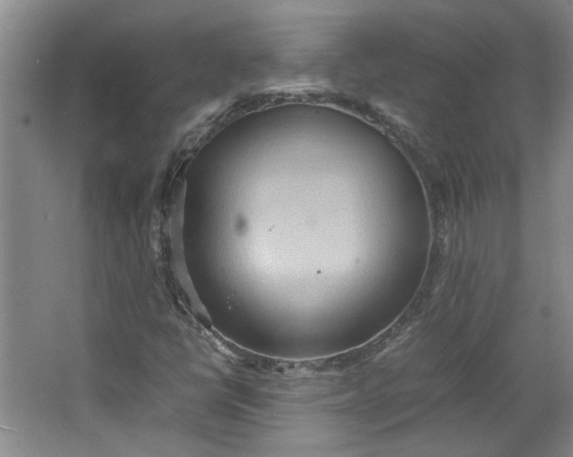 X0000064041398200602101412