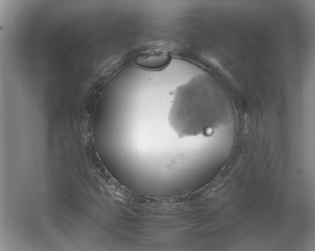 X0000064041399200602101412