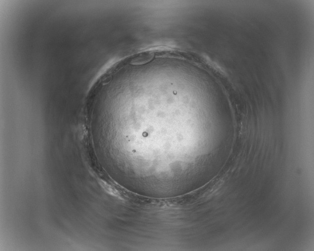 X0000064041400200602101412