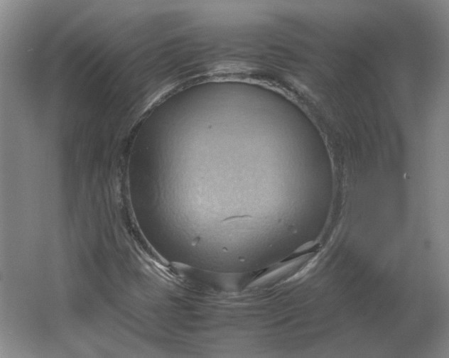 X0000064041401200602101412