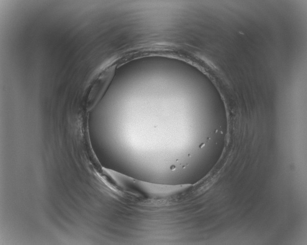 X0000064041402200602101412