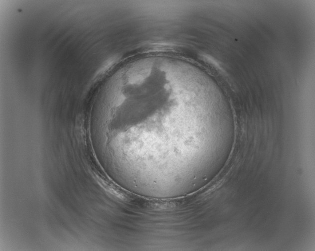 X0000064041403200602101412