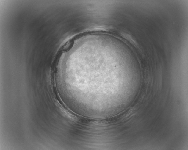 X0000064041404200602101412