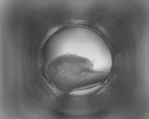 X0000064041405200602101412