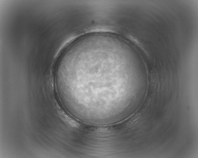 X0000064041408200602101413