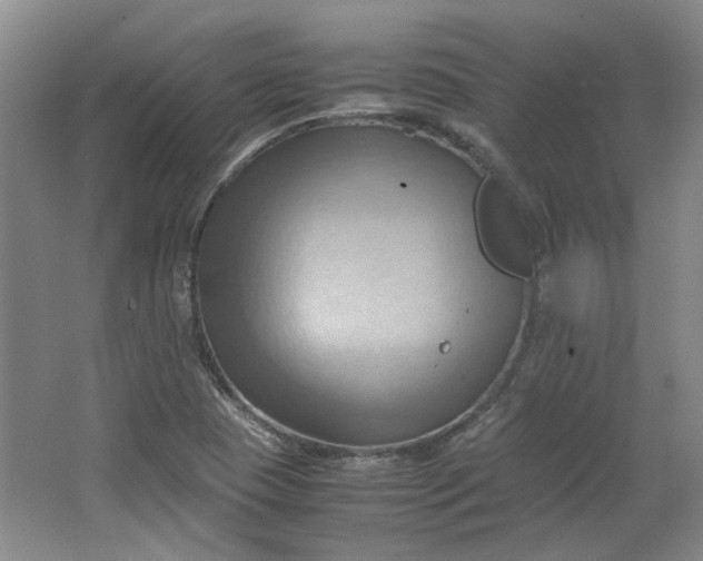 X0000064041409200602101413