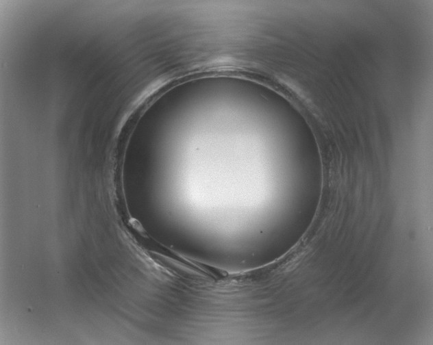 X0000064041410200602101413