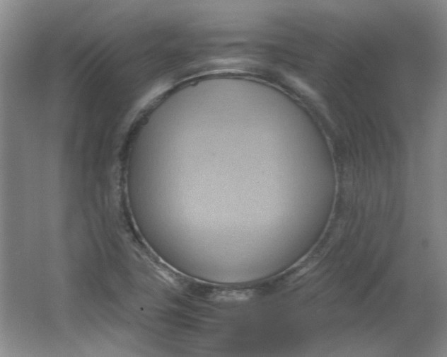 X0000064041411200602101413