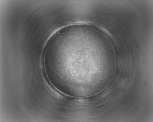 X0000064041412200602101413