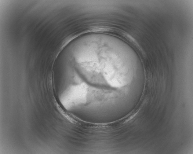 X0000064041417200602101413