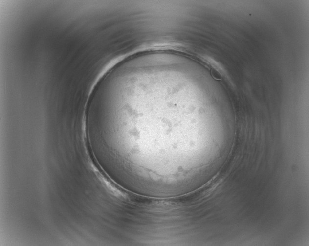 X0000064041420200602101413