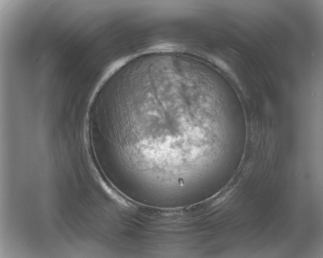 X0000064041421200602101413