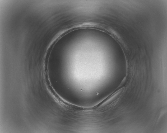 X0000064041422200602101413