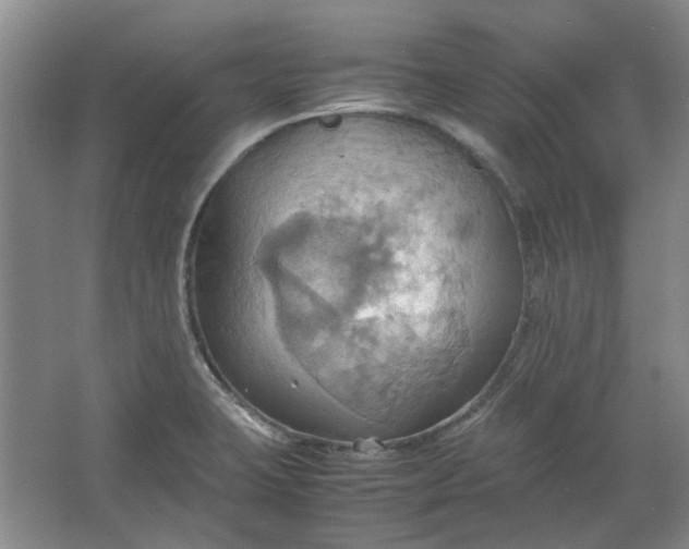 X0000064041423200602101413