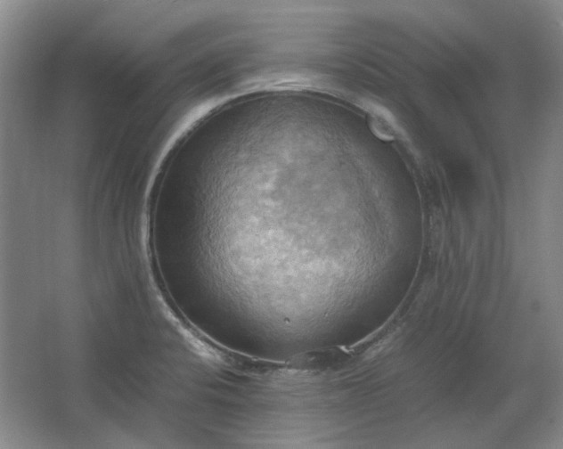 X0000064041424200602101413