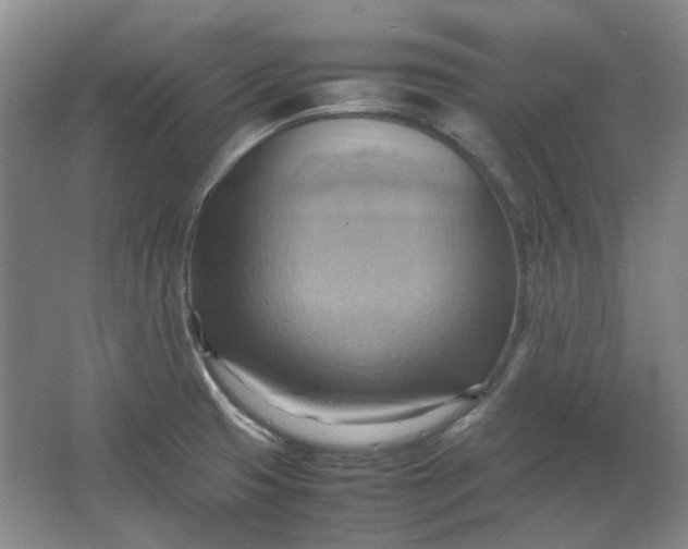 X0000064041425200602101413