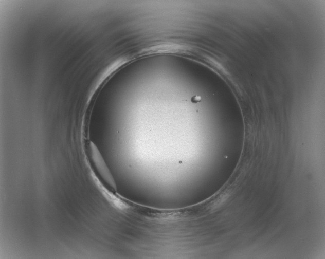 X0000064041426200602101413