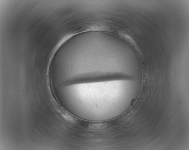 X0000064041427200602101413