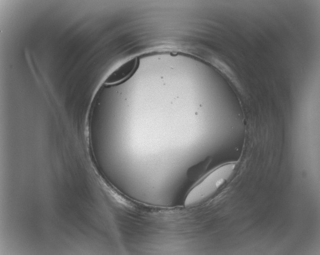 X0000064041428200602101413