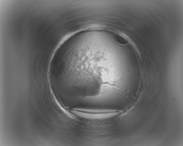 X0000064041429200602101413