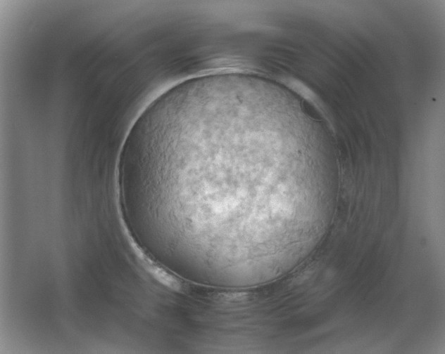 X0000064041431200602101413