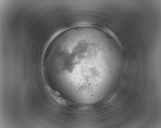 X0000064041435200602101413