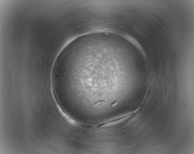 X0000064041439200602101413