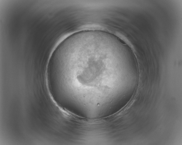 X0000064041440200602101413