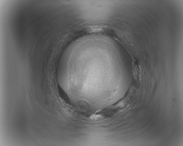 X0000064041441200602101412