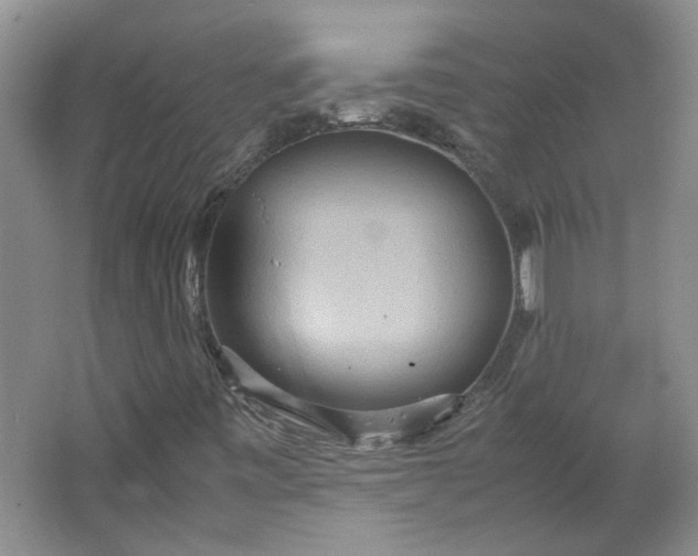 X0000064041443200602101412