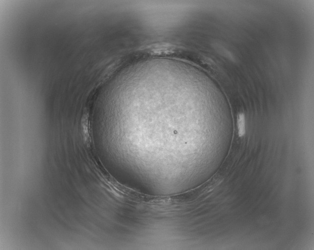 X0000064041444200602101412