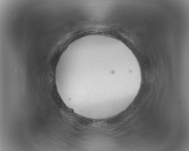 X0000064041447200602101412