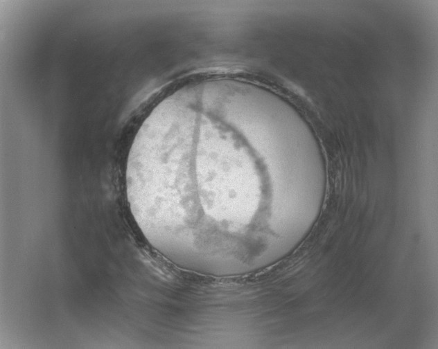 X0000064041448200602101412