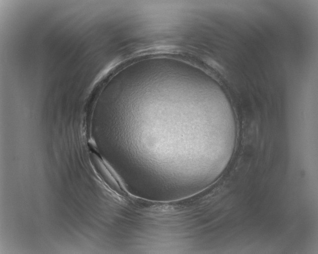 X0000064041450200602101412