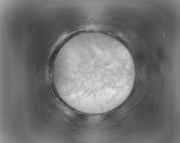 X0000064041454200602101412