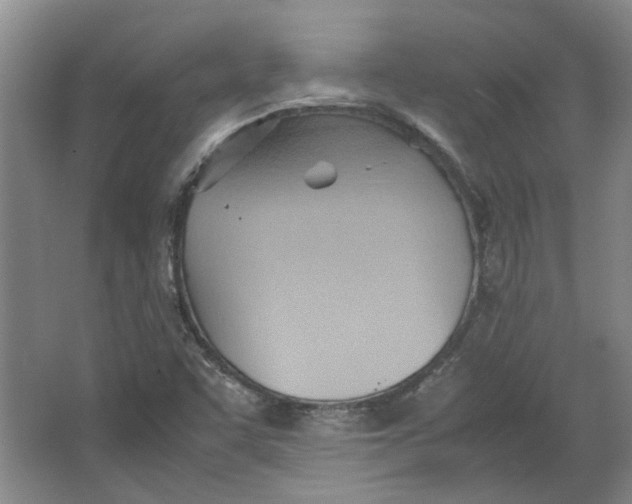 X0000064041455200602101412