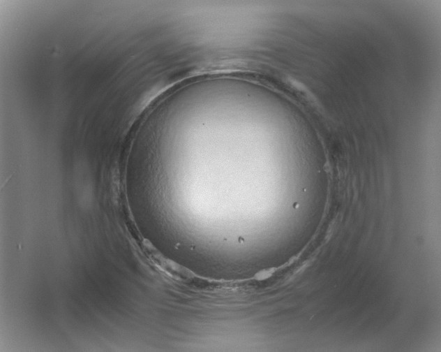 X0000064041457200602101412