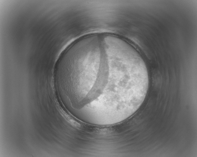 X0000064041460200602101412