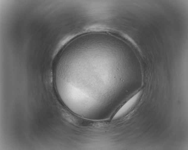 X0000064041461200602101412