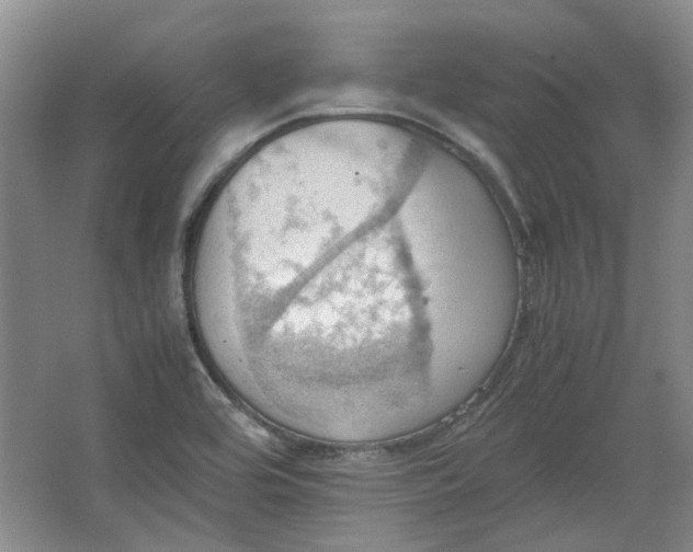 X0000064041464200602101412