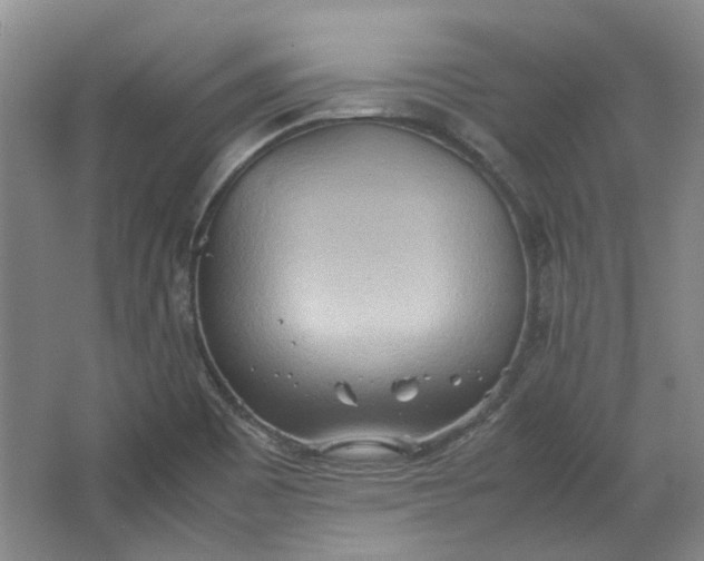 X0000064041465200602101412