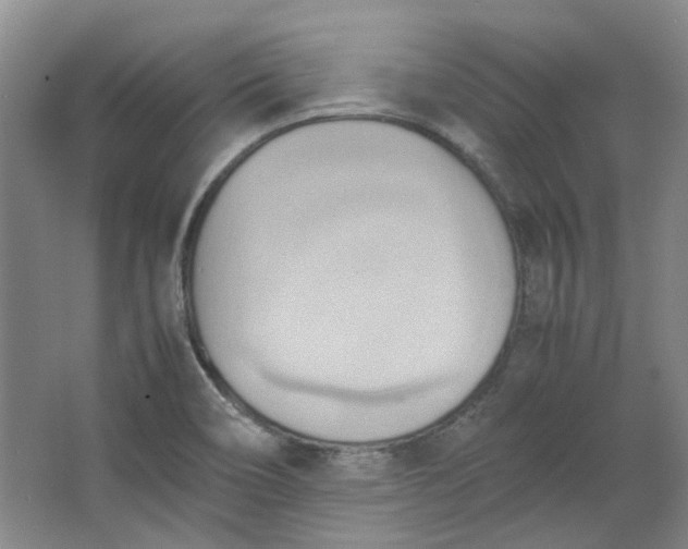 X0000064041466200602101412