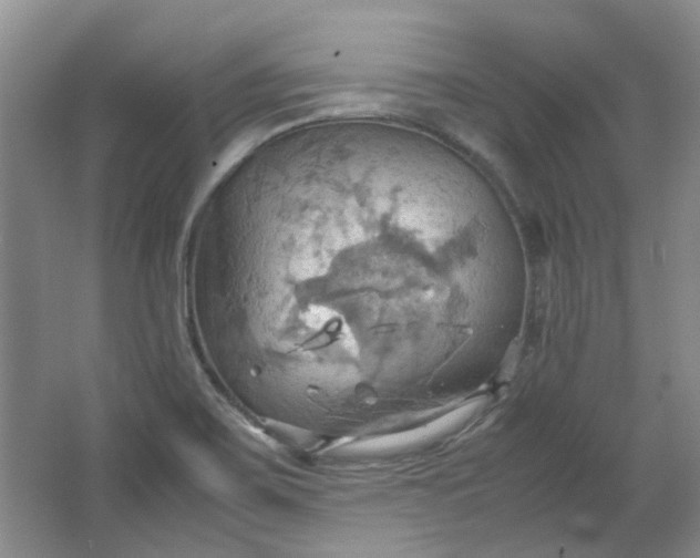 X0000064041467200602101412