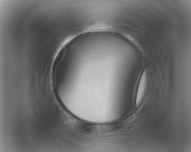 X0000064041469200602101412