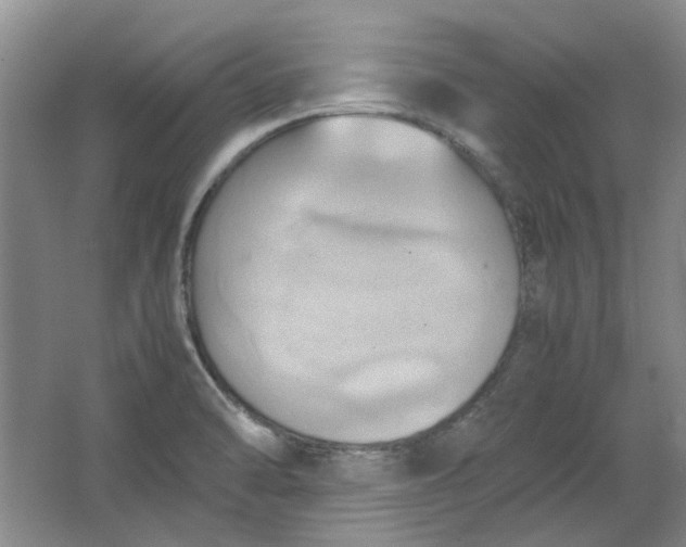 X0000064041470200602101412