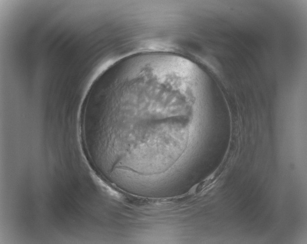 X0000064041471200602101412